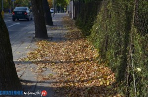 DSC 0122